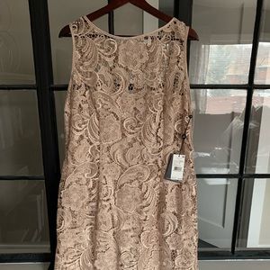 Adrianna Papell Champagne Lace Cocktail Dress